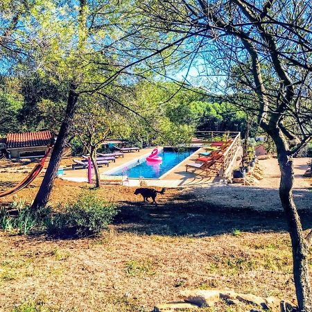Arche De Noe Atypique, Boheme , Nature, Piscine Chauffee De Paques A Toussaint , Spa , Sauna , Loisirs Le Beausset Dış mekan fotoğraf
