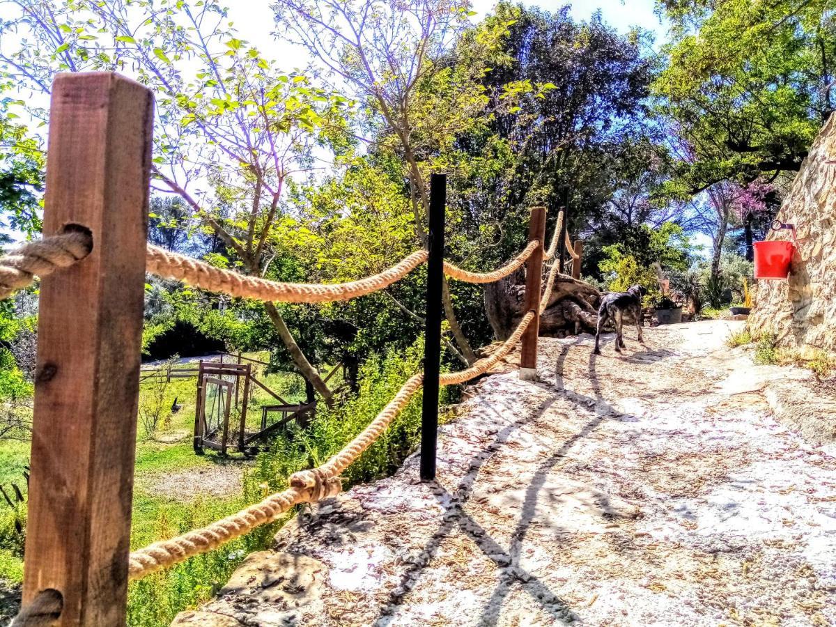 Arche De Noe Atypique, Boheme , Nature, Piscine Chauffee De Paques A Toussaint , Spa , Sauna , Loisirs Le Beausset Dış mekan fotoğraf
