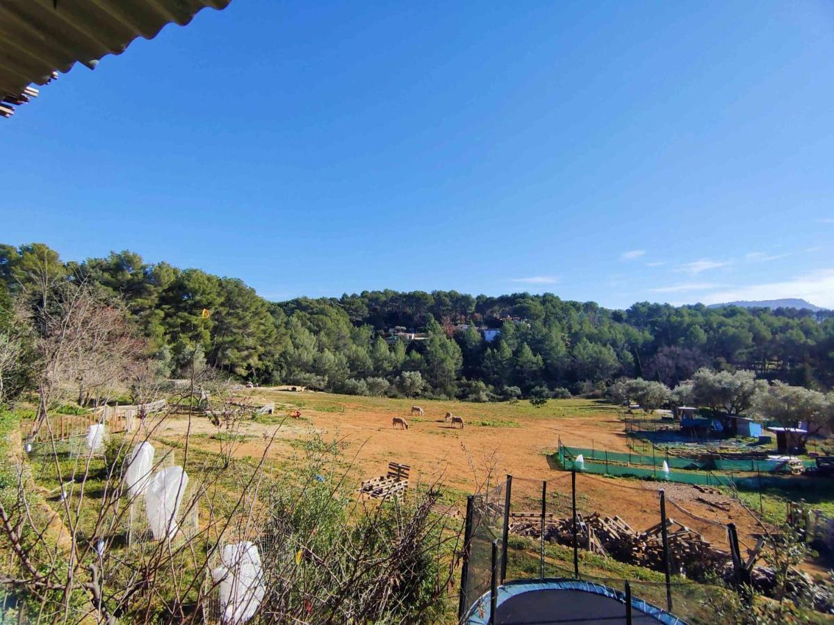 Arche De Noe Atypique, Boheme , Nature, Piscine Chauffee De Paques A Toussaint , Spa , Sauna , Loisirs Le Beausset Dış mekan fotoğraf