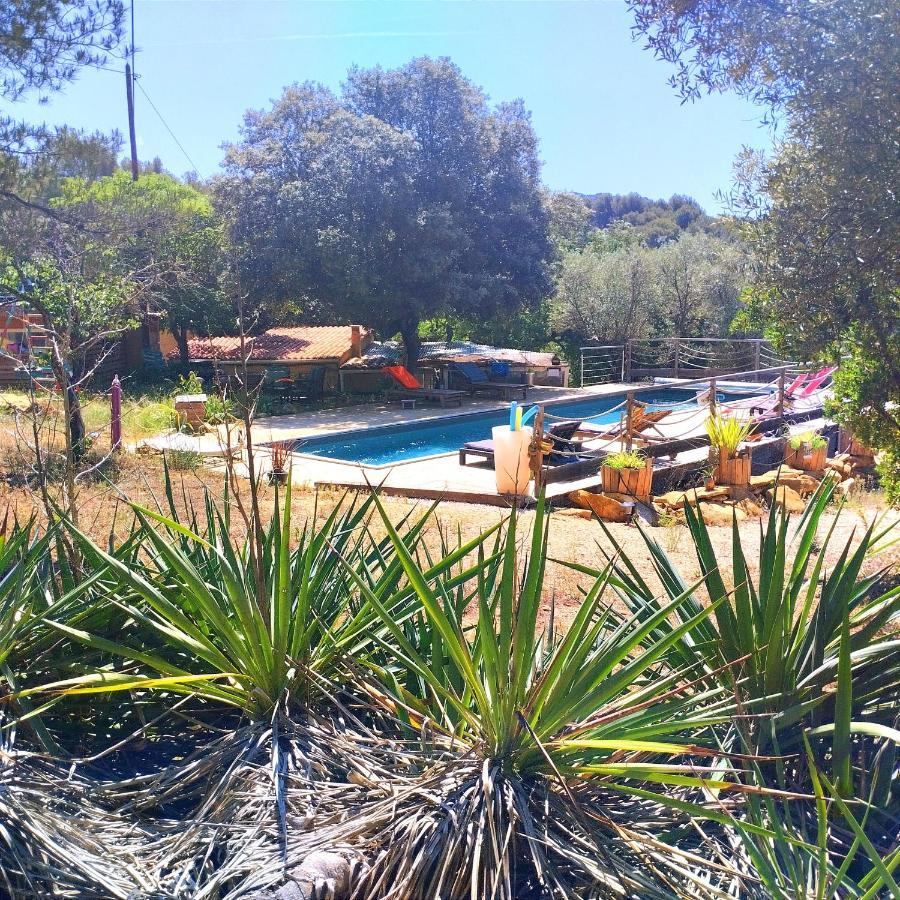 Arche De Noe Atypique, Boheme , Nature, Piscine Chauffee De Paques A Toussaint , Spa , Sauna , Loisirs Le Beausset Dış mekan fotoğraf