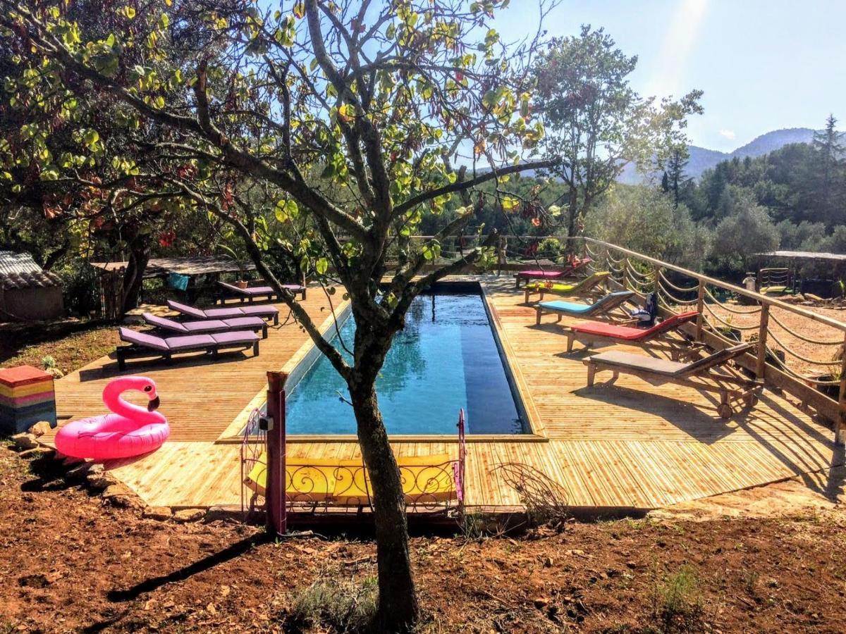 Arche De Noe Atypique, Boheme , Nature, Piscine Chauffee De Paques A Toussaint , Spa , Sauna , Loisirs Le Beausset Dış mekan fotoğraf